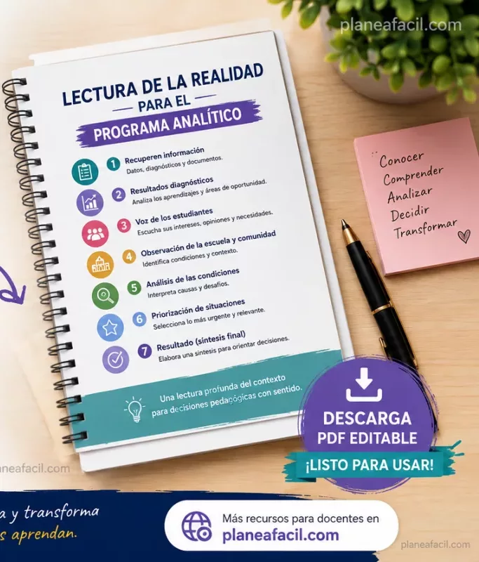 Ejemplo ficticio para lectura de la realidad en escuela primaria